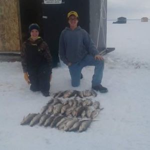 Meet your Posher, Tyler